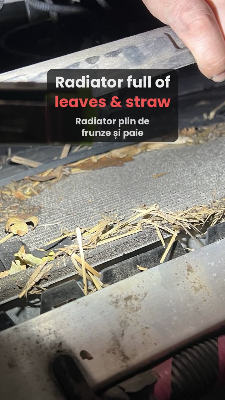 Tesla Model 3 radiator blocked with leaves and straw